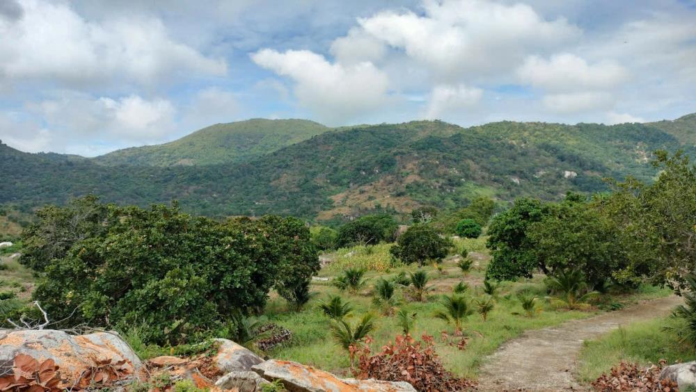 Bán trang trại view đẹp tại Xã Tân Lập, Hàm Thuận Nam, Bình Thuận, 30 tỷ, 225000 m22521271