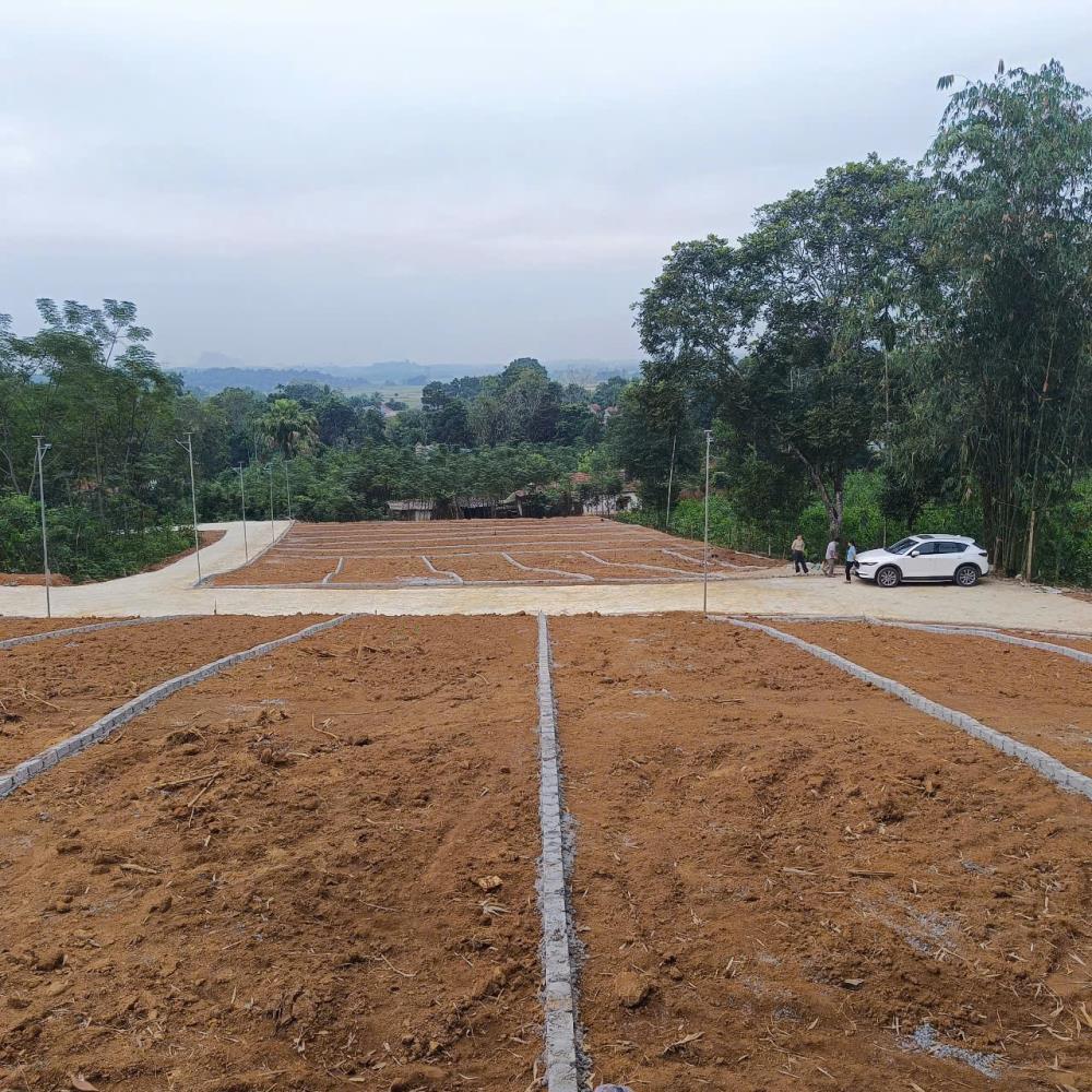 Chưa đến 300 triệu có ngay lôĐất nền Ngọc Lặc giá rẻ bán cắt lỗ. Diện tích rộng cạnh đường Hồ Chí Minh.2592903