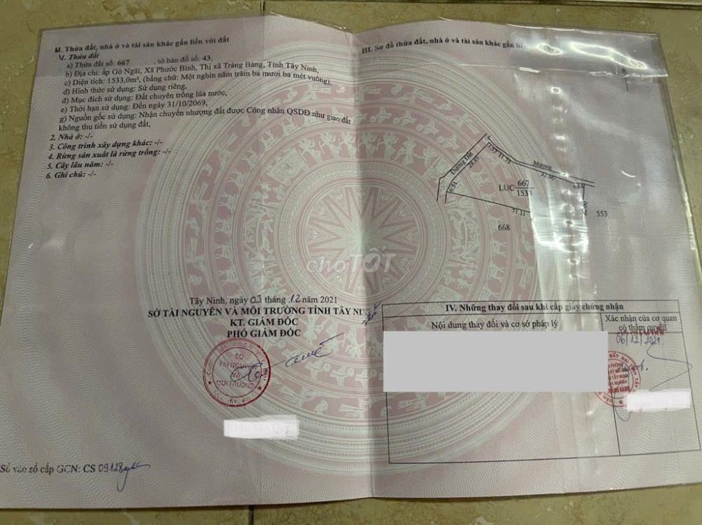Cơ Hội Sở Hữu Đất Đẹp Tại Tây Ninh – Giá Chỉ 3.2 Tỷ!2485274