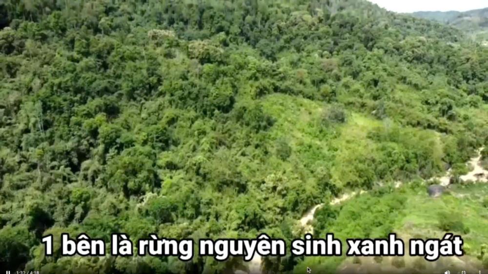 ✨PHẢI NHANH MỚI KỊP ✨ Đất lâm nghiệp làm khu sinh thái Lâm Đồng 72ha 45 tỷ có đàm phán2423560