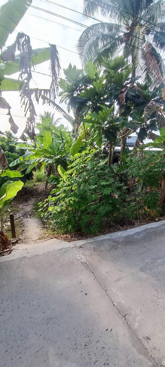 CHÍNH CHỦ GỬI BÁN 850m2 ĐẤT CỰC ĐẸP NGAY THẠNH LỢI - THƯỜNG THẠNH - CÁI RĂNG - CẦN THƠ2618466