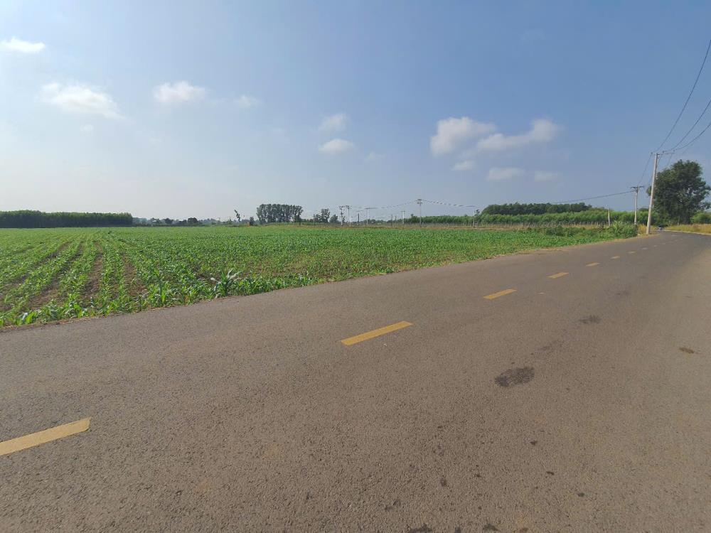 Cần Bán 6000m2 Đất Chính Chủ Mặt Tiền Nhựa Tại Xã Lộ 25, Thống Nhất, Sổ Hồng Chính Chủ.2494459