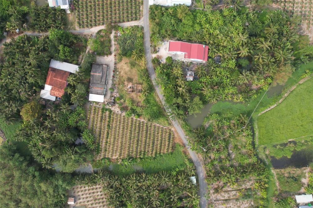 ĐẦU TƯ SINH LỜI - CHÍNH CHỦ Cần Bán Lô Đất  Full Thổ Cư Tại Thuận Mỹ, Châu Thành, Long An2628989