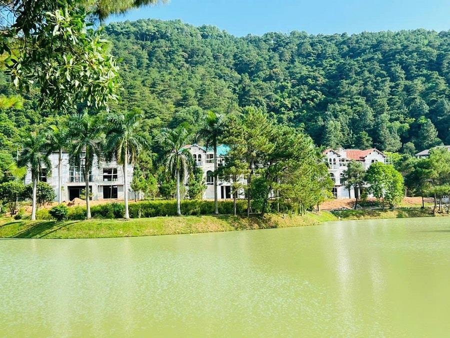 Bán biệt thự đơn lập dự án Thanh Xuân Valley, chỉ với 50tr sở hữu ngay2546316
