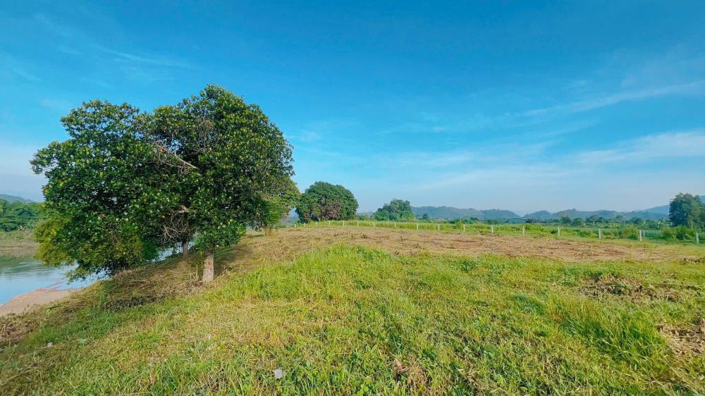 Bank định giá 5.1 tỷ bán lỗ 3.8 tỷ. 2653m2 qh full thổ cư 2025. Mặt sông 95m.2370121