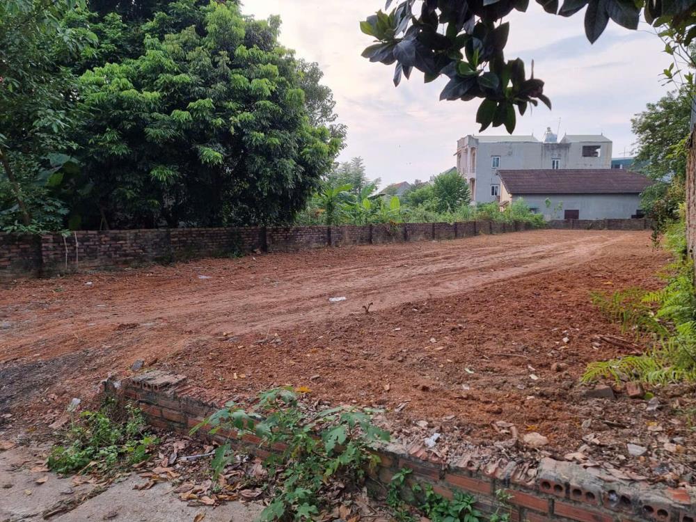 Cần Bán đất Biệt Thự tại Liên Bảo, Vĩnh Yên, Vĩnh Phúc, 7,5 tỷ, 440 m2 đẹp, nhiều tiện ích2479618