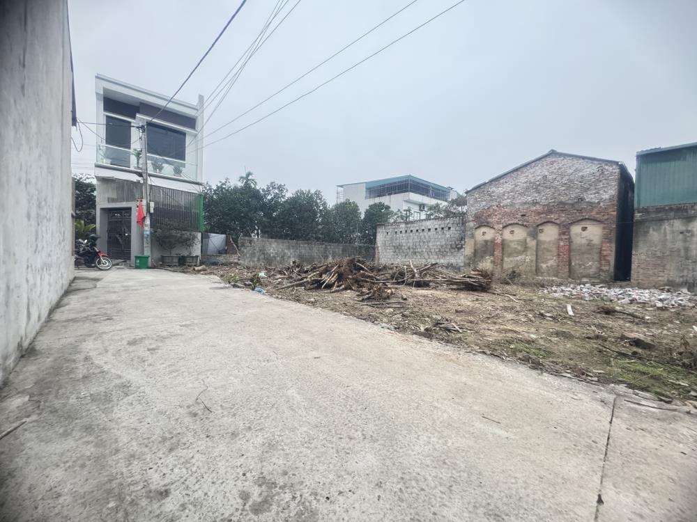 Cần bán 56m tại Cát Lư, Chỉ Đạo, Văn Lâm, MT hơn 5m giá nhỉnh 1ty2528398