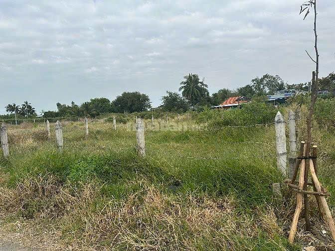 BÁN LÔ ĐẤT MẶT TIỀN ĐƯỜNG 873B XÃ TÂN TÂY, GÒ CÔNG ĐÔNG2589951
