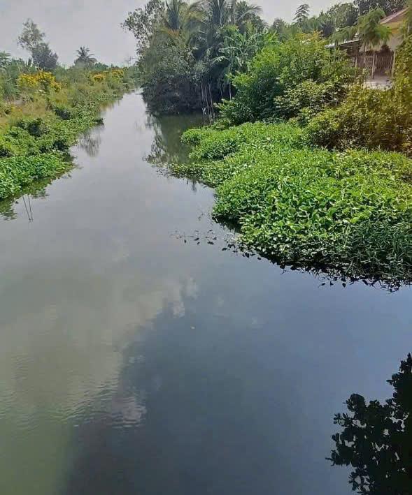 HÓT! HÓT! HÓT ! ĐẤT ĐẸP - GIÁ YÊU THƯƠNG -  Vị Trí Tại : Hiệp Đức  - Cai Lậy - Tiền Giang2542380