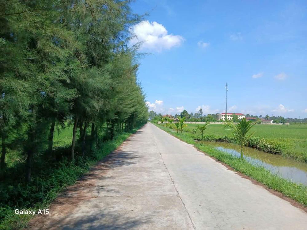 HỘI XÁ TÂN QUANG, LÔ GÓC 132M, MẶT TIỀN 6M, GIÁ 1 ĐỒNG 3.2319859