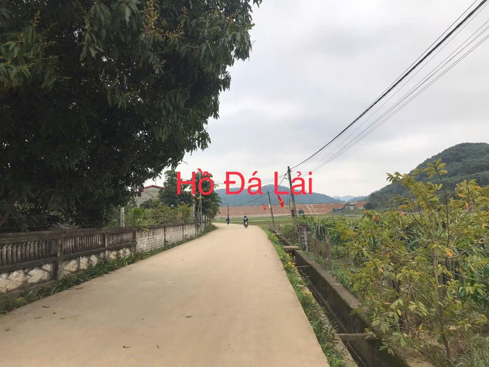 CHÍNH CHỦ BÁN ĐẤT TẠI THÔN 1, XÃ PHÚ LONG,HUYỆN NHO QUAN , TỈNH NINH BÌNH2548466