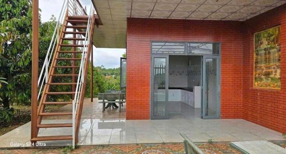 CẦN BÁN NHÀ VƯỜN CÓ 300 CÂY SẦU RIÊNG HỆ THỐNG TƯỚI VÀ ĐIỆN NƯỚC ĐẦY ĐỦ2579876