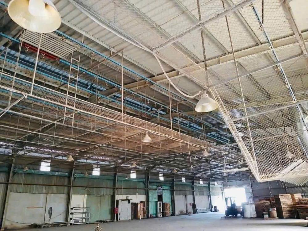Bán Xưởng Tân Phước Khánh, Tân Uyên – 2.249m², Mặt Tiền 35m, Thu Nhập Ổn Định – Giá Chỉ 13 Tỷ! Liên hệ ngay: 0366 632 0922456436