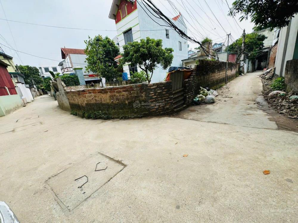 Chính chủ bán đất thổ cư sổ sẵn giá tốt khu vực Phụng Châu - Chương Mỹ, Hà Nội2576051