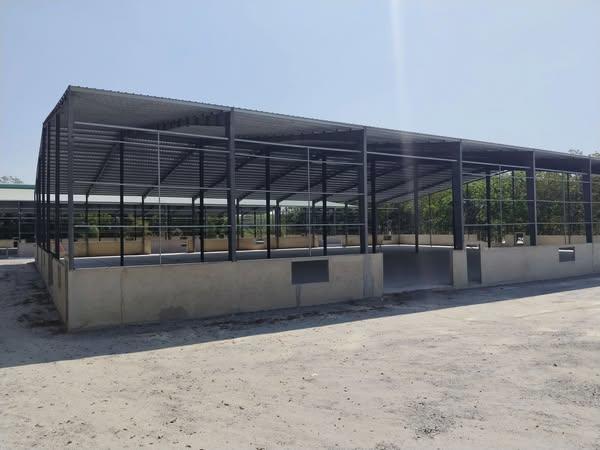 CHO THUÊ XƯỞNG 6.500M SẢN XUẤT TẠI LONG NGUYÊN BẦU BÀNG BÌNH DƯƠNG2465338