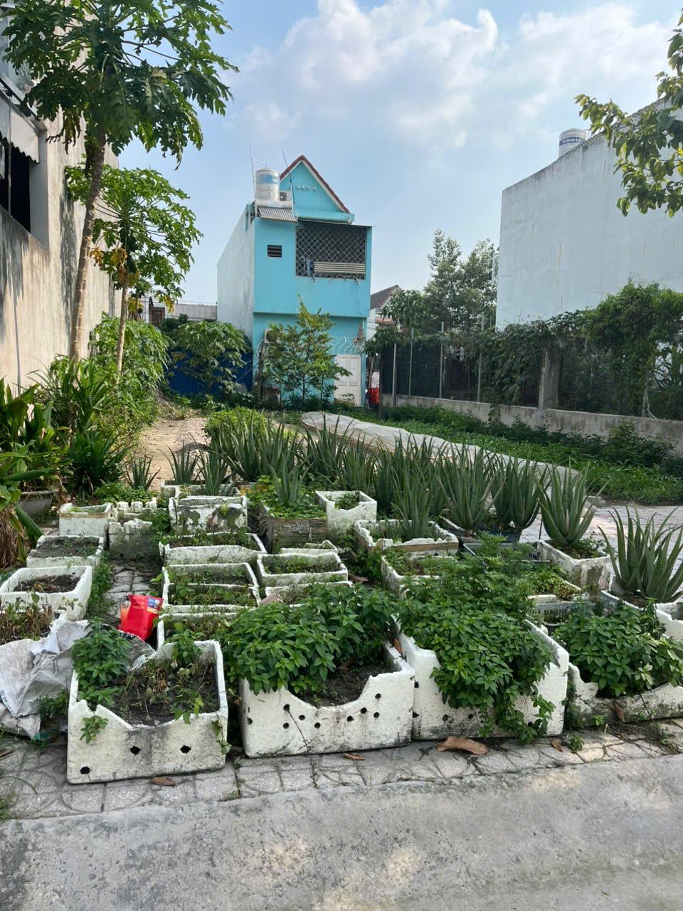 CHÍNH CHỦ CẦN BÁN ĐẤT  tái định cư Tân biên gần nhà thờ Hà Phát-Phường Tân Biên- Thành phố Biên Hòa -Tỉnh  Đồng Nai2601128
