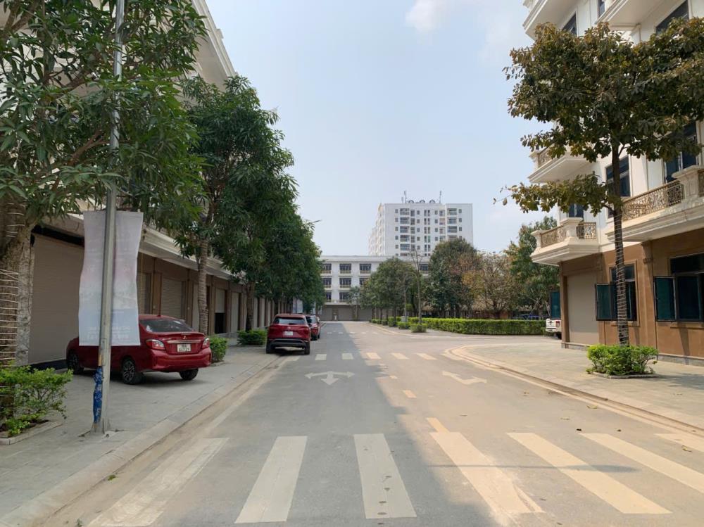 Bán nhà liền kề 4 tầng khu đô thị Xuân Hưng Đại Lộ Cesp Thành Phố Thanh Hóa2549445