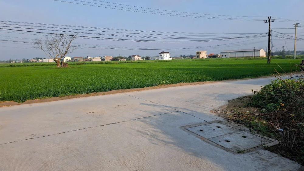 🏡 BÁN ĐẤT GIÁ RẺ PHƯỜNG DƯƠNG NỔ – CÁCH CHỢ MAI CHỈ 2.5KM2628505
