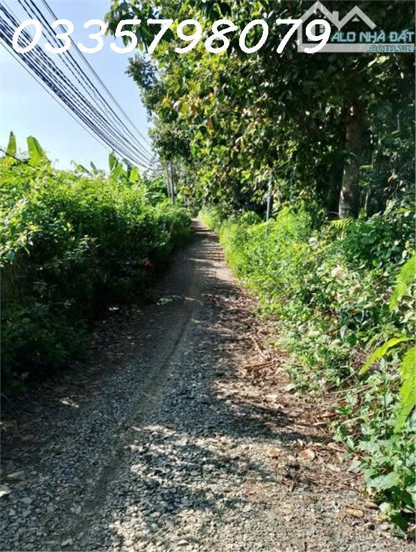 Bán 10.000m2 đất gần khu công nghiệp, Xã Ngọc Định, Định Quán, tìm người thiện chí2495008