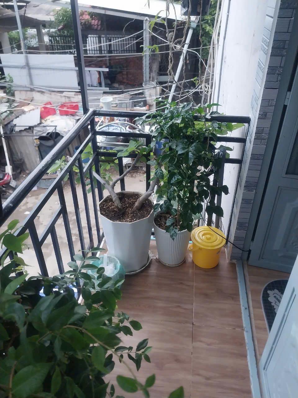 Chính chủ cần bán nhà nguyên căn tại Phường Linh Tây. Thủ Đức2388457