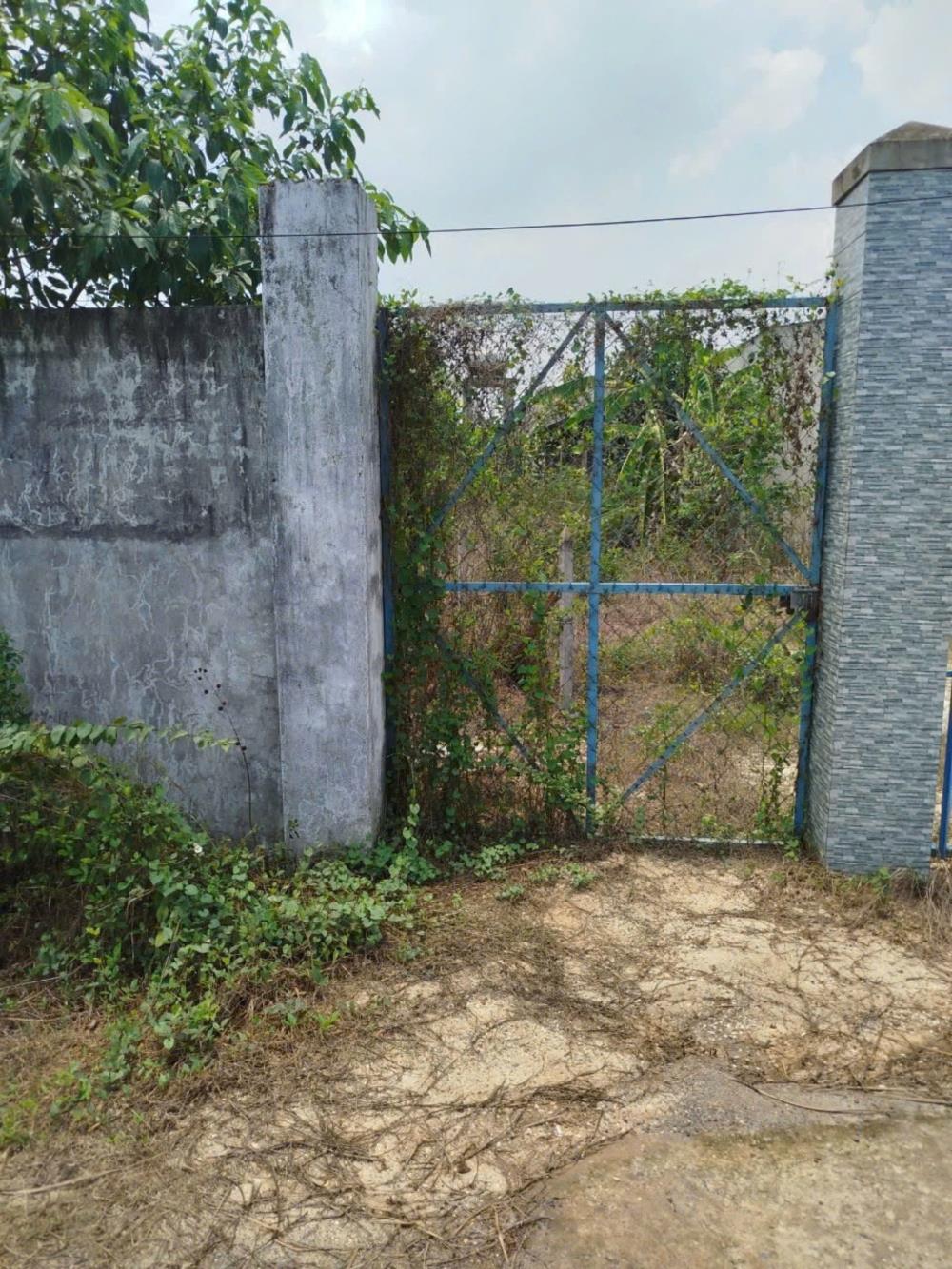 Chính chủ cần bán lô đất: Mặt tiền đường 762, Xã An Nhơ Tây, Huyện Củ Chi, TP HCM2516759