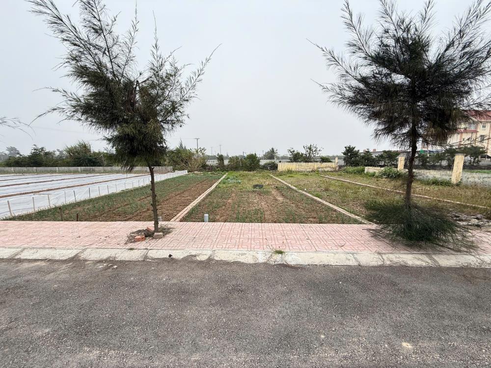 Chỉ hơn 10 triệu/m2 em bán đất Vsip Hải long giao thủy 90m2 5m mặt tiền2606206