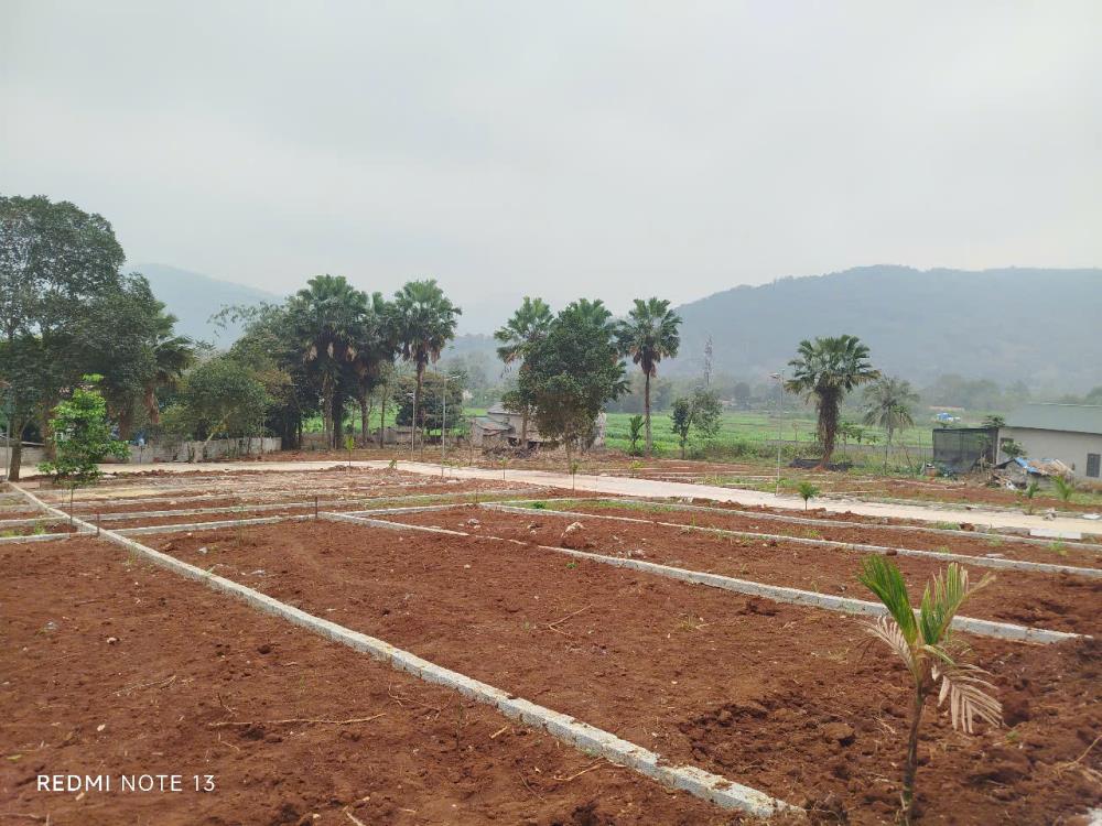 Đất nền đầu cơ giá rẻ tại Thanh Hóa cần bán gấp. Chỉ nhỉnh 200tr sở hữu ngay 1 lô  đất rộng 125m2.2561540