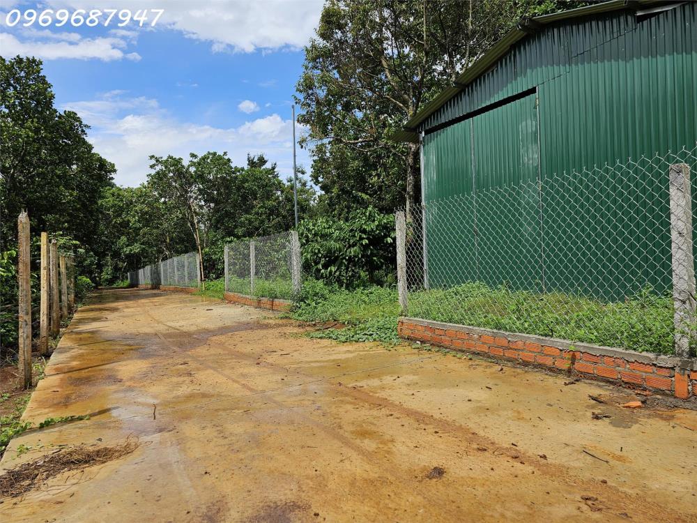 BÁN LÔ ĐẤT 1.7HA - GẦN HỒ SINH THÁI - X.EA KAO-TP.BUÔN MA THUỘT - 450TR/ SÀO2518545