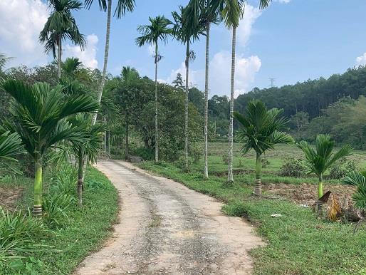 ĐẤT NGHỈ DƯỠNG CHÂU CHỮ THUỶ BẰNG - TP HUẾ - 6500M2 GIÁ 2,6TR/M2451500
