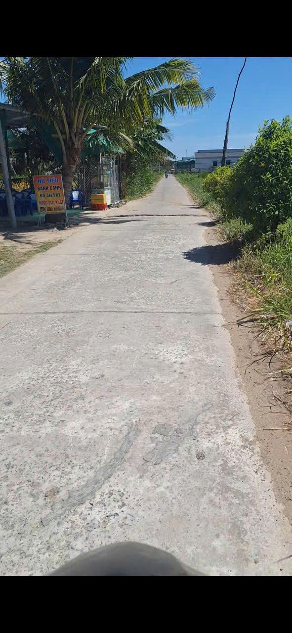 ĐẤT ĐẸP- GIÁ TỐT CHÍNH CHỦ CẦN BÁN NHANH lô đất đẹp- giá tốt tại huyện Ba Tri, tỉnh Bến Tre2516117
