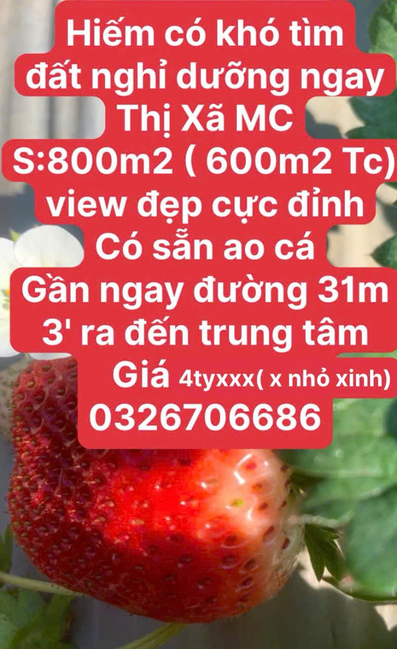 BÁN ĐẤT NỀN MỘC CHÂU GIÁ ĐẦU TƯ2453066