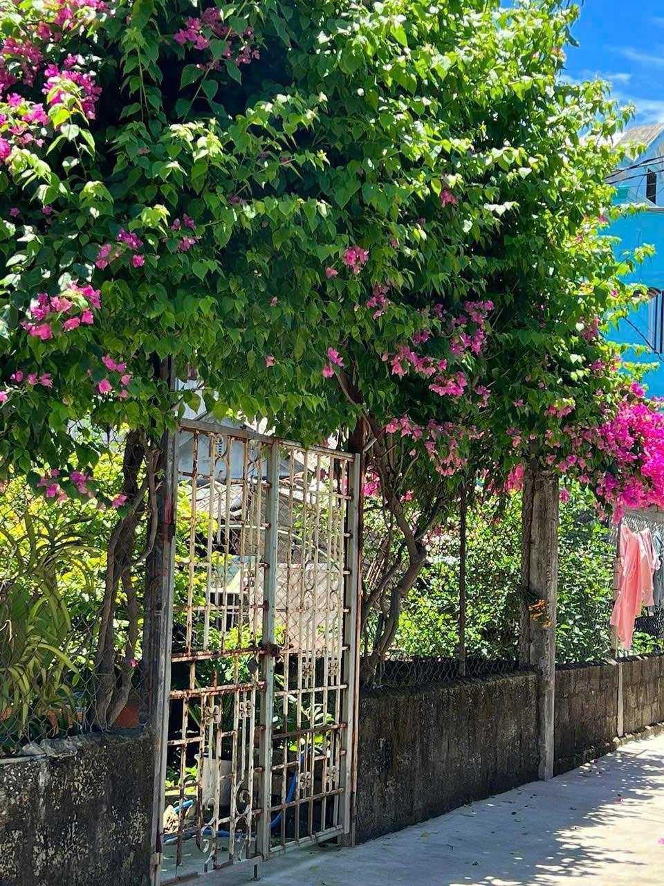 Giá Quá Tốt. Bán Đất Mặt tiền kiệt đường Tùng Thiện Vương, Vỹ Dạ cách PVĐ 30m2319536