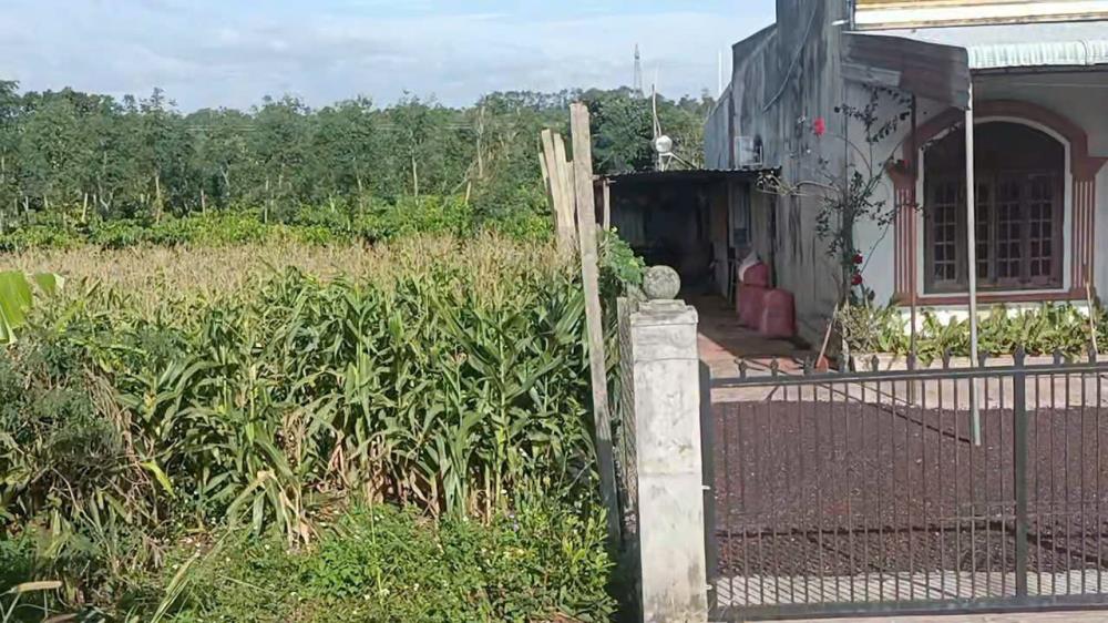 ĐẤT ĐẸP - GIÁ TỐT - Vị Trí Đắc Địa Tại  Thôn 5, Xã Ia Pal, Huyện Chư Sê, Tỉnh Gia Lai2342324