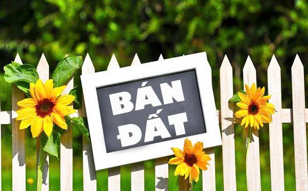 Bán nhanh lô đất thổ cư, đường quốc lộ 282515093