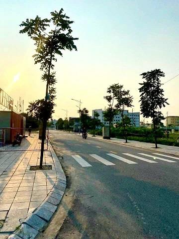 BÁN LÔ ĐẤT VỊ TRÍ ĐẸP NHẤT KHU TẠI KĐT TRÁI DIÊM 3, TIỀN HẢI, THÁI BÌNH2477895
