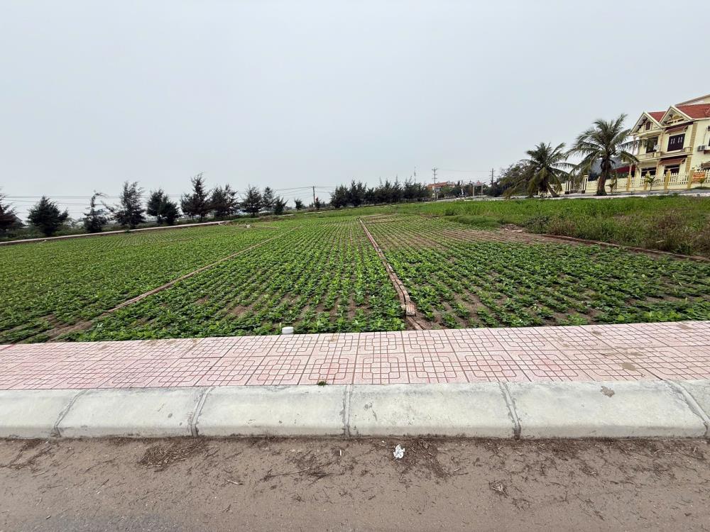Nhỉnh 2 tỷ em bán trục chính đường 10m giao phong quất lâm sát Flamingo2614386