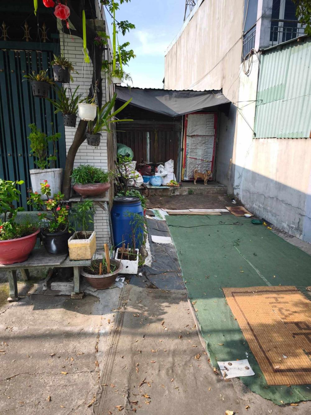 Bán Đất Đông Thạnh Hóc Môn - 75m2 Thổ Cư - Giá Rẻ 2.3 tỷ.2591606