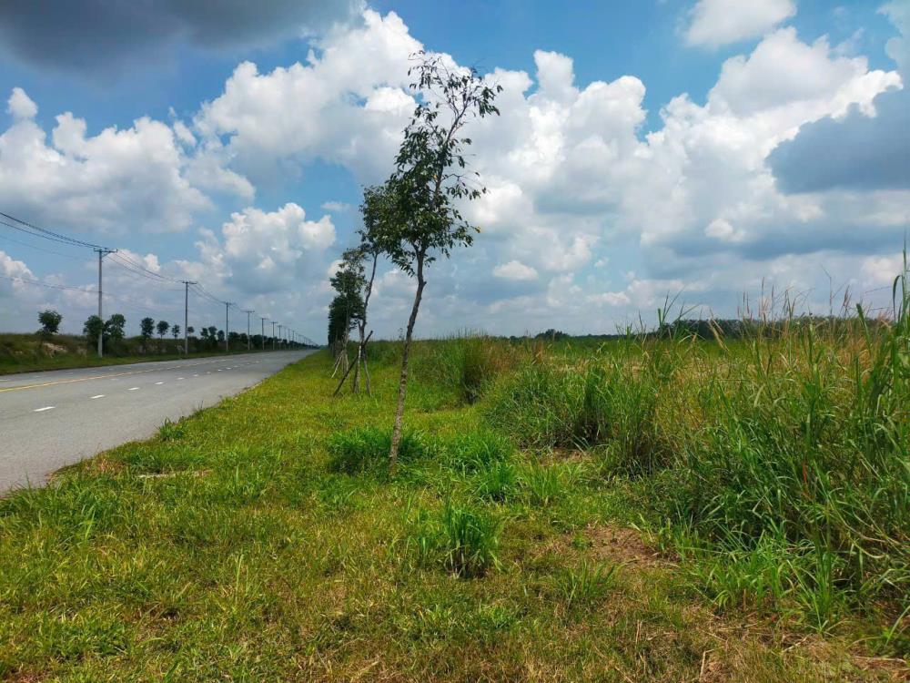 🌈Bán đất KCN bàu bàng bình dương 👉dt 16.000m(1.6ha) 160 usd/m22431252