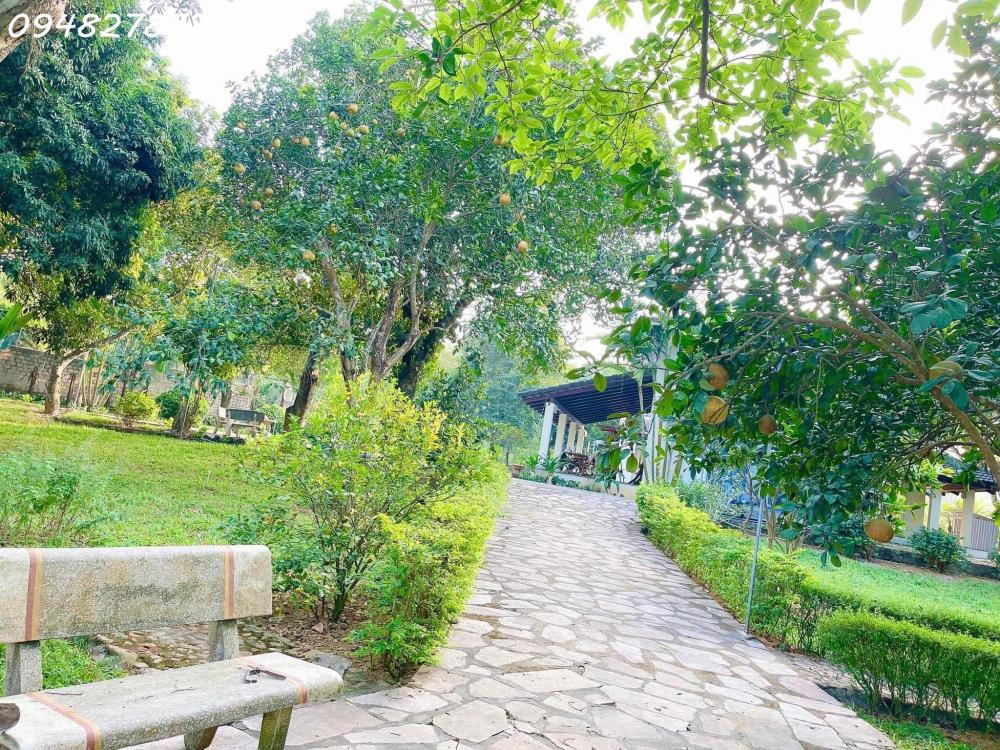 Cần chuyển nhượng Khu Biệt Thự Nghỉ Dưỡng Lương Sơn- Hoà Bình (cách sân golf skylake 500m)2411208