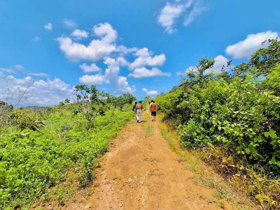 Buôn Đôn- Đắk Lắk diện tích 9.5ha có suối quanh đất đất đỏ bằng phẳng cách trung tâm huyện chỉ 2 phút chạy xe giá 3,3 tỷ2399735