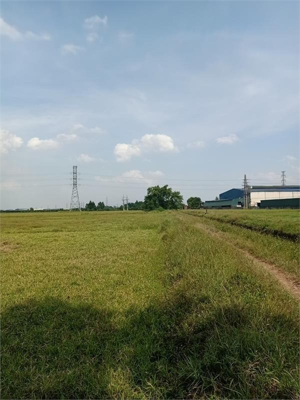 Bán 3,5ha đất kho nhà xưởng 50 năm tại xã Hoàn Long, Huyện Văn Giang, Tỉnh Hưng Yên2342977