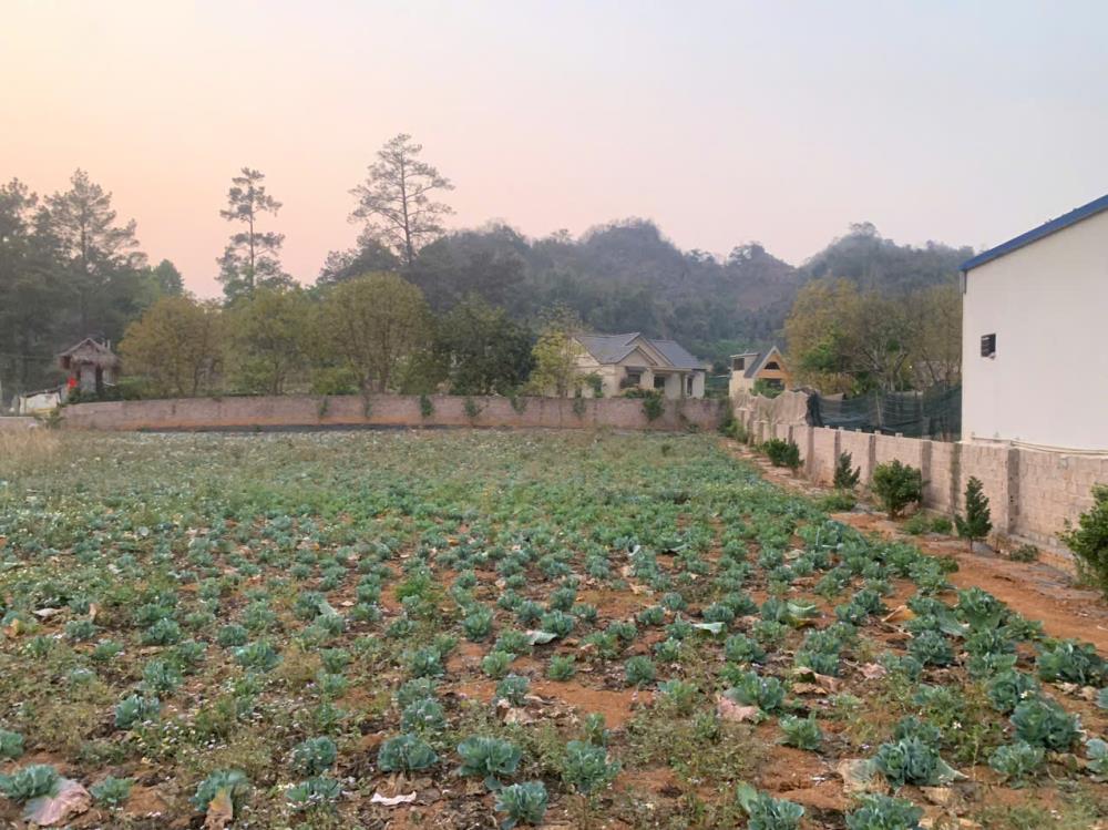 2000 M2 FULL THỔ CƯ THÍCH HỢP LÀM HOME NGHỈ DƯỠNG2557981