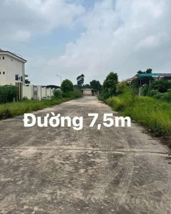 Bán lô đất đẹp -Vị trí đẹp tại Phường Cổ Thành -TP Chí Linh -Hải Dương2568786