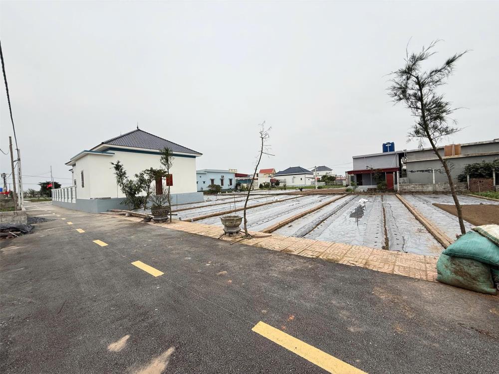 Hàng hiếm ven biển Quất Lâm, Nam Định, 1,2 tỷ, 92m2 gần biển, gần Flamigo, đường thông các ngả.2603591