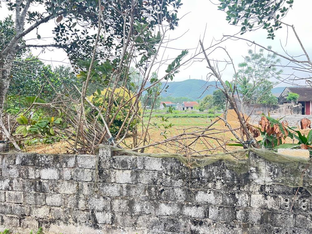 ĐẤT ĐẸP - GIÁ TỐT - Vị Trí Đắc Địa Tại Thôn 5, Xã Quỳnh Vinh, Thị xã Hoàng Mai, Tỉnh Nghệ An2592597