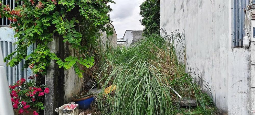 Chính chủ bán lô đất đẹp, nở hậu, hẻm 22, Gò Cát, Phường Phú Hữu, Quận 92494427