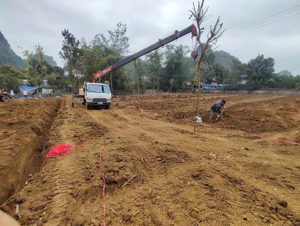 ĐẤT ĐẸP - GIÁ TỐT - Vị Trí Đắc Địa Tại Thị trấn Ba Hàng Đồi, Huyện Lạc Thuỷ, Tỉnh Hoà Bình2468904