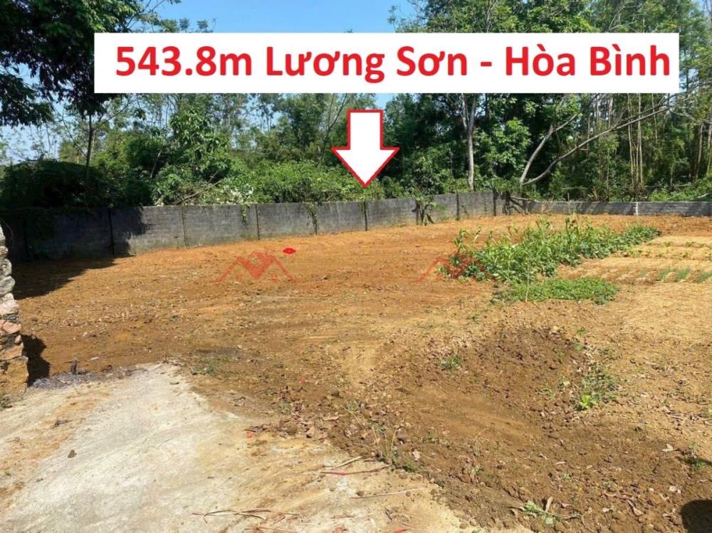 CHÍNH CHỦ BÁN LÔ ĐẤT 543,8M TẠI LƯƠNG SƠN-HÒA BÌNH2598234