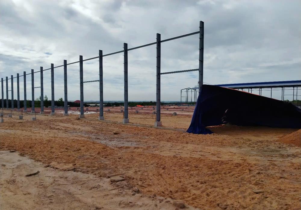 CHO THUÊ NHÀ XƯỞNG 18000M SẢN XUẤT TẠI AN LẬP - AN ĐIỀN BẾN CÁT BÌNH DƯƠNG2494638