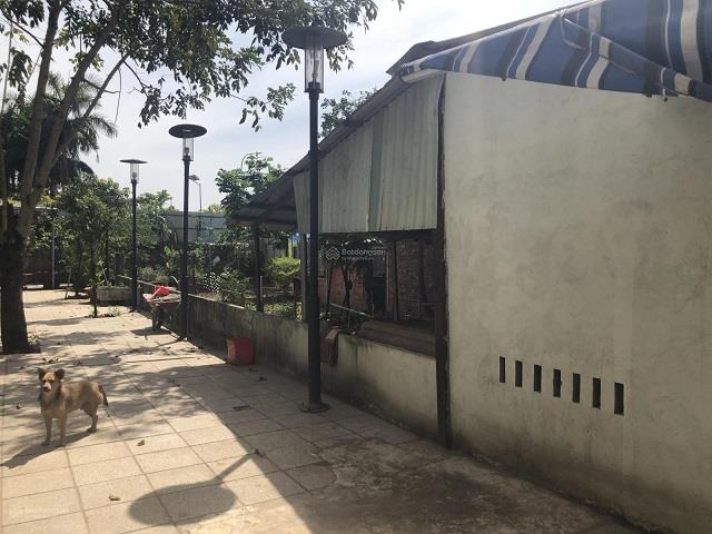 Đất đã có ranh, rào rõ ràng, cho thuê giá rẻ, kết nối được internet, điện nước và cống.2425262